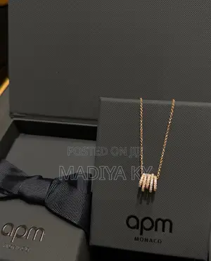 APM Slim Curve Necklace