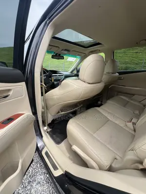 Lexus RX 350 2010 Brown