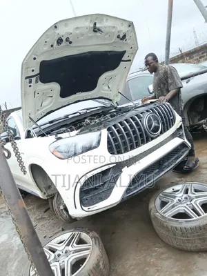 Professional Mercedes-Benz Mechanic