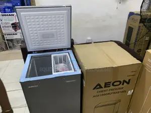 AEON 100L Compact Chest Freezer for Home Kitchen, Mini Mart, Hotel