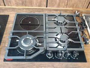3+1 Gas Burner