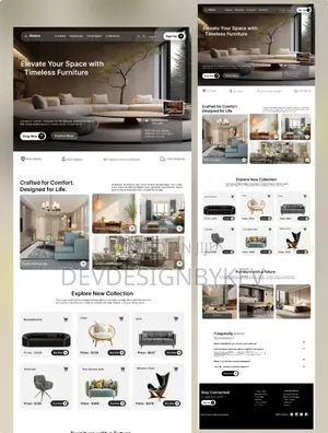 Professional Website Design Development