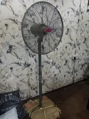 Big 0X Standing Fan