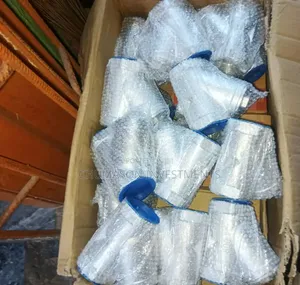 2" Stainless Y Strainer