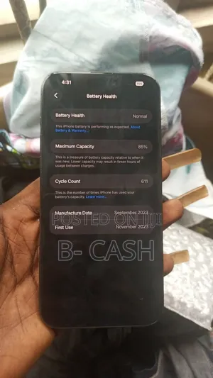 Apple iPhone 15 Pro Max 256 GB Gray