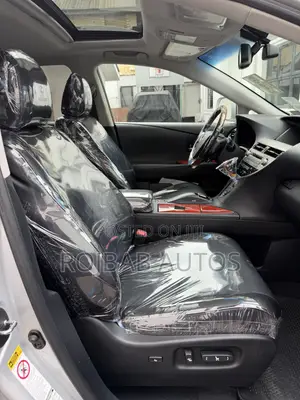 Lexus RX 350 2010 Silver