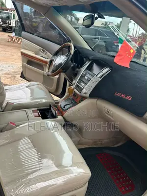 Lexus RX 330 2005 Gray