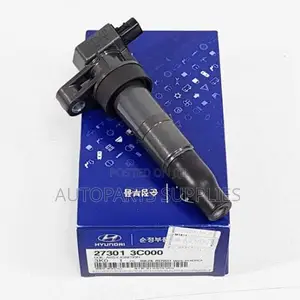 Ignition Coil 27301-3c000 Hyundai Santa Fe Sonata Kia Sedona
