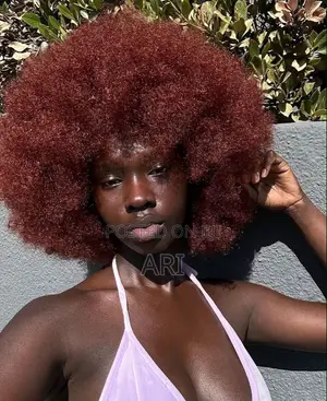 Kinky Afro Wigs