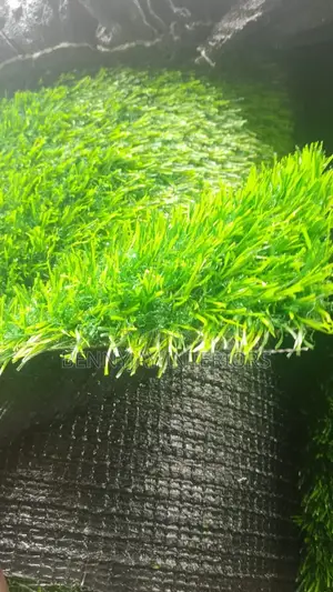Artificial Grass Carpet