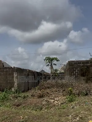 1 Plot of Land