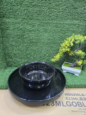 Black Flat Plate and Bowl