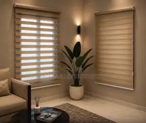 Golden/Silver Day and Night Blinds