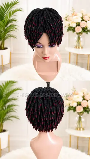 Braided Wig