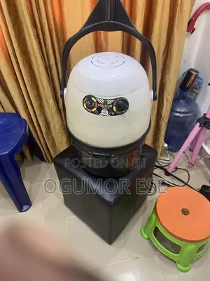 Wall- Mounted Hair Dryer