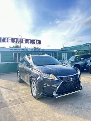 Lexus RX 350 2011 Gray