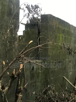 Land and Building