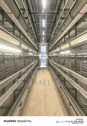 Poultry Farm Automatic Poultry Farming