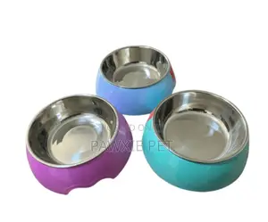 Melamine With Stainless Bowl 22cm