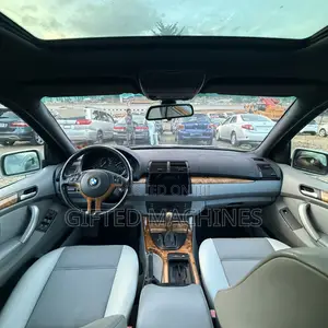 BMW X3 xDrive30i 2010 Silver