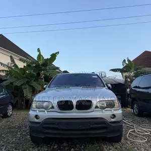 BMW X3 xDrive30i 2010 Silver
