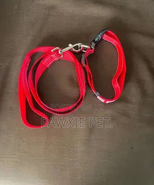 Reflective Lead and Collar 2.5*120cm
