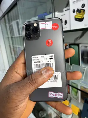 Apple iPhone 11 Pro 256 GB Gray