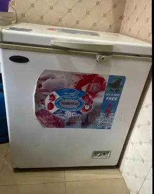 Haier Thermocool Refrigerator