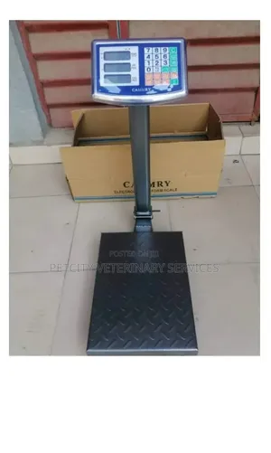 Digital Platform Weighing Scale