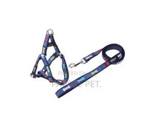 Nunbell Pet Harness and Lead 2.5*120cm
