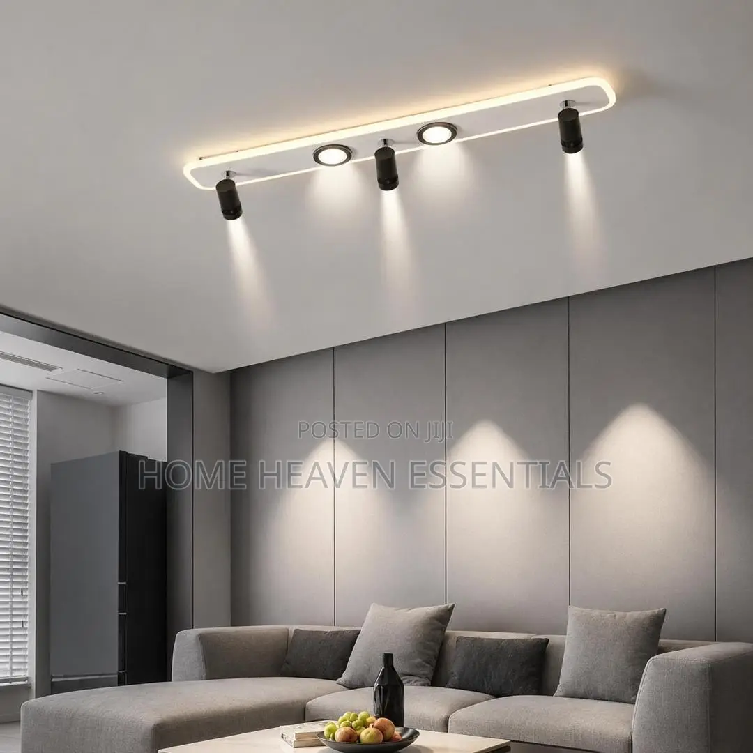 Nordic Modern Ceiling Lamp With Spotlights