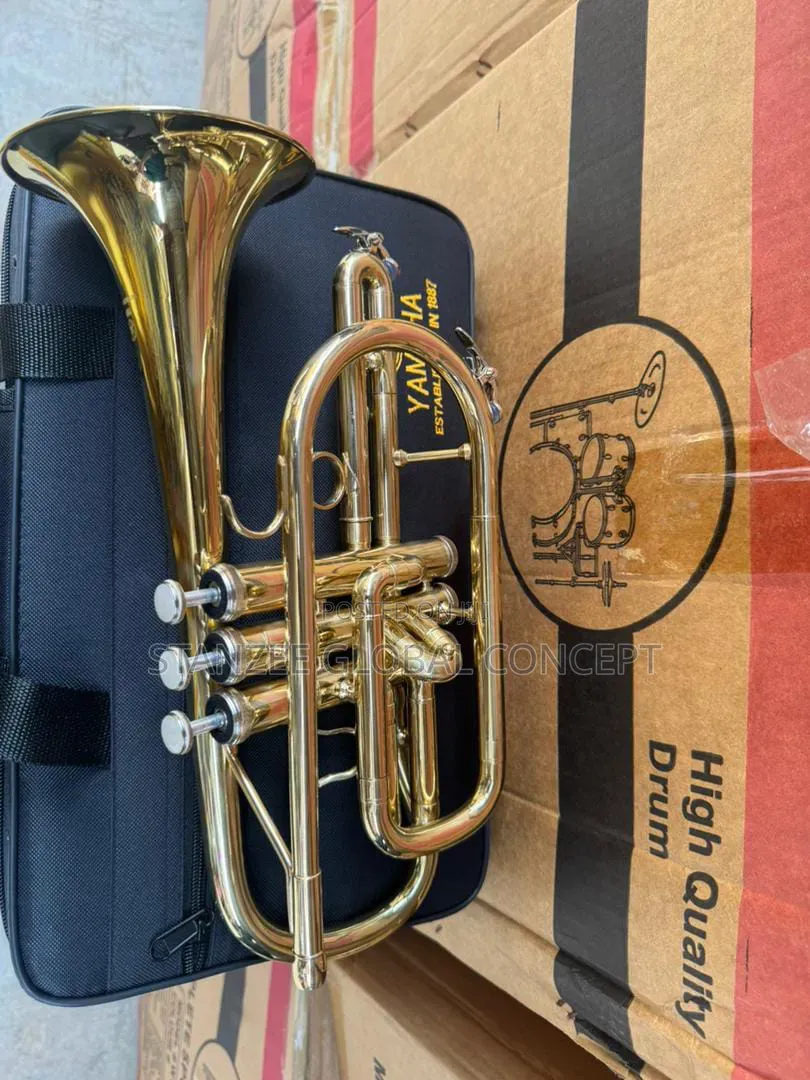 Professional Bb Cornet – Gold Lacquer Finish With Hard Case