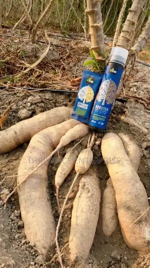 4tree Booster