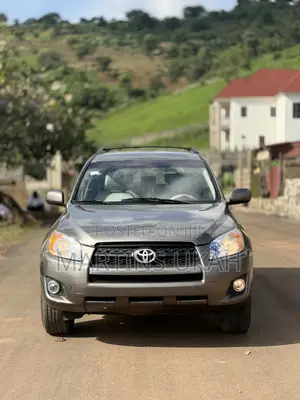 Toyota RAV4 2.0 VVT-i 2008 Brown