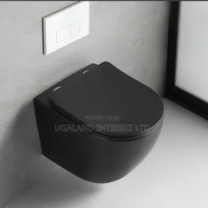 Modern Black Wall Hung Toilet