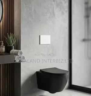 Modern Black Wall Mounted WC