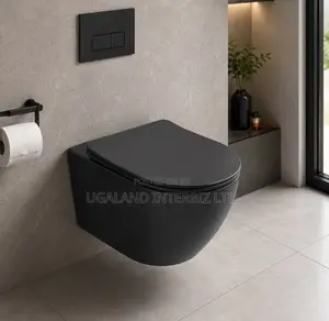 Black Wall Hung Water Closet