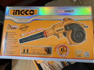800W Aspirator Blower
