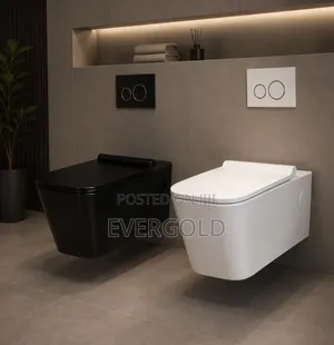 Concealed Square White Well Hung Toilet Available