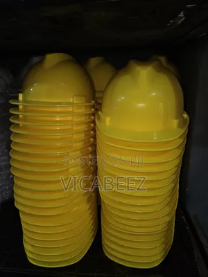 Safety Helmet