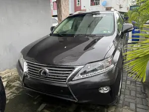 Lexus RX 350 2010 Gray
