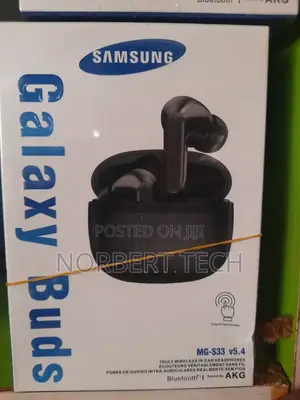 Samsung Earphones