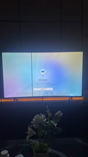 Samsung Curve TV