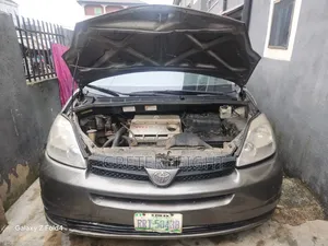 Toyota Sienna 2005 Gray