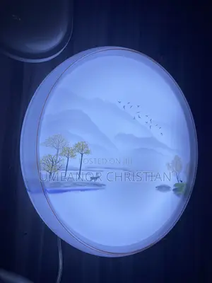 Ceiling Lights