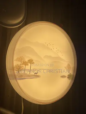 Ceiling Lights