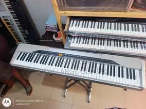 Casio Px310
