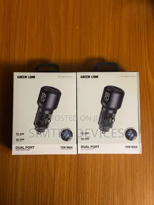 Green Lion Roadvolt Car Charger