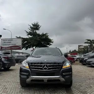 Mercedes-Benz M Class 2015 Gray