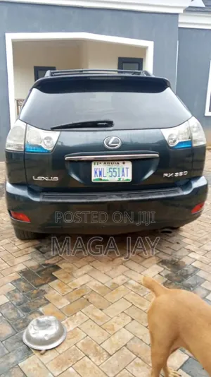 Lexus RX 330 2005 Gray